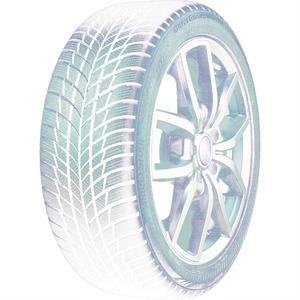 Bridgestone DriveGuard Winter